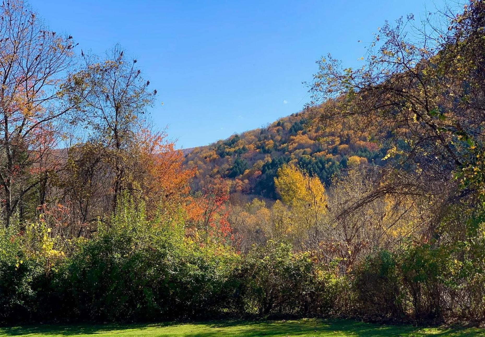 Green Acres Retreat Hancock 외부 사진